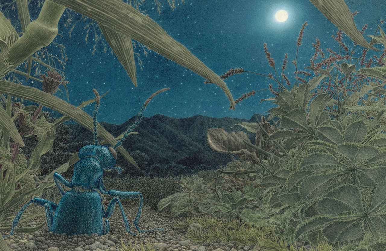 福岡伸一 × 舘野 鴻 対談 ー 虫たちの息遣いが聴こえる ー (1/2) - T