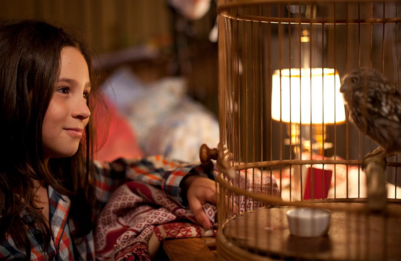 【廃盤レア】『天の高みへ』『カーネーションの卵』シルヴァーノ・アゴスティ監督 BEATINK.COM / Kennebec / 久石譲、ヌジャベス、ティコ好き必聴! 唯一