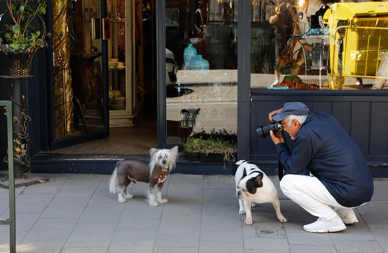 写真展「時代」に寄せて。 フォトグラファー 立木義浩が語る写真、時代