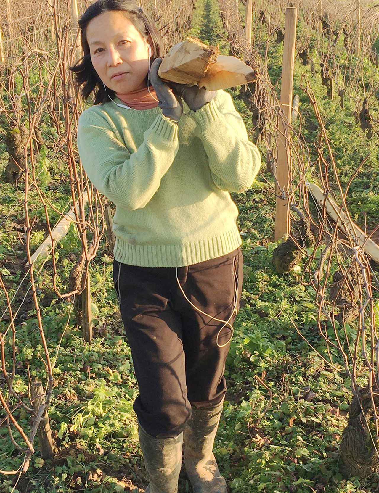 日本人女性醸造家が造る “麗し”のブルゴーニュワイン (1/1) - T JAPAN