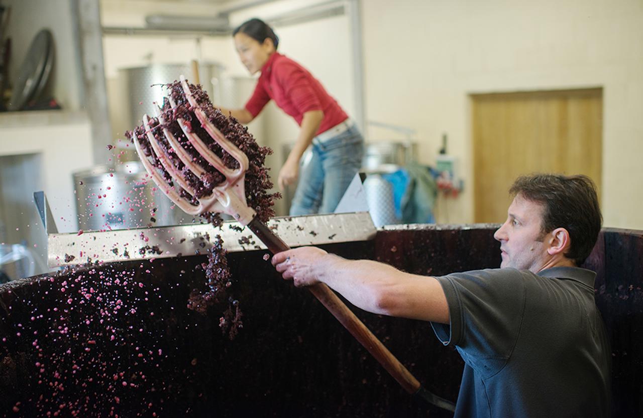 日本人女性醸造家が造る “麗し”のブルゴーニュワイン (1/1) - T JAPAN