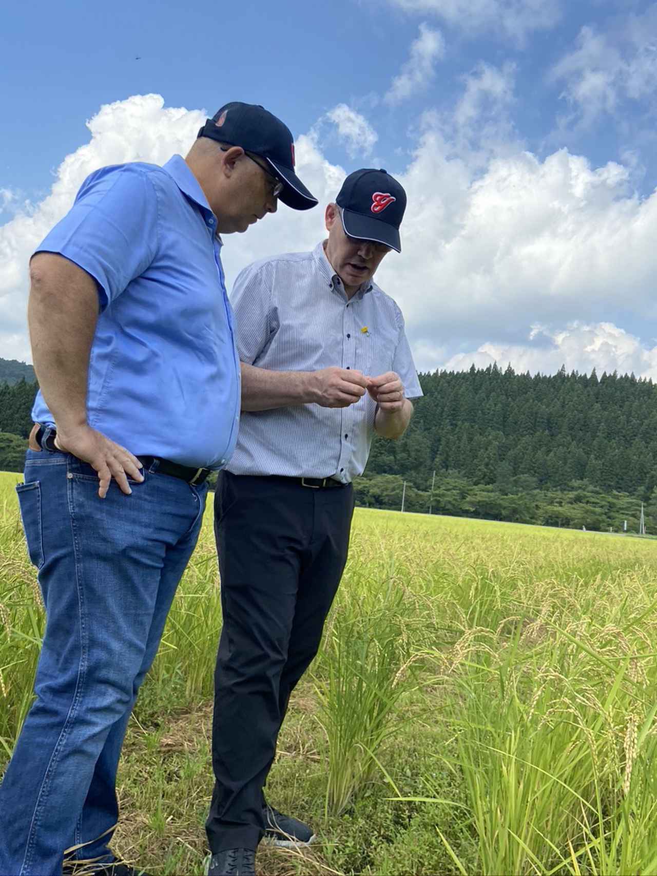 next5 イスパハン next five ×イスパハン(ピエールエルメ) 日本酒