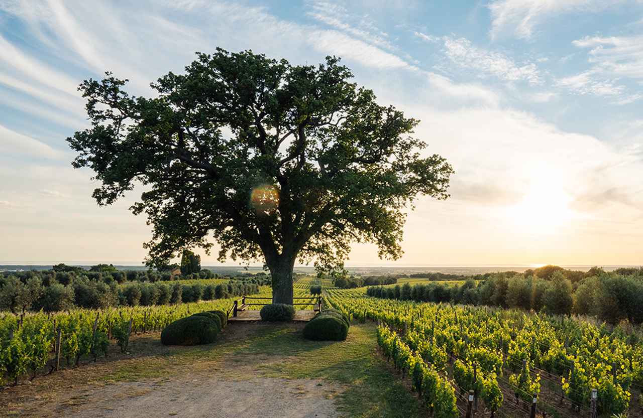 b7d9cb2979a54ea86b8c354b50ae23