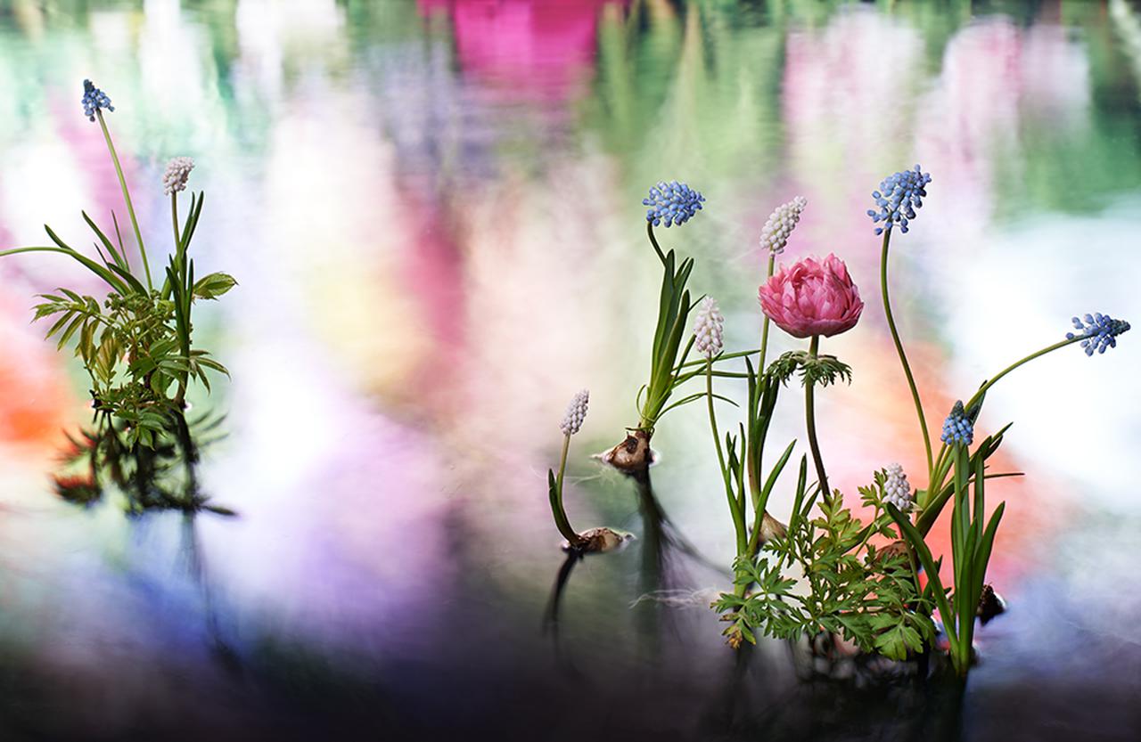 Tj News 花々とジュエリーの共演 ヴァン クリーフ アーペルが 特別エキシビションを開催 1 1 T Japan The New York Times Style Magazine 公式サイト