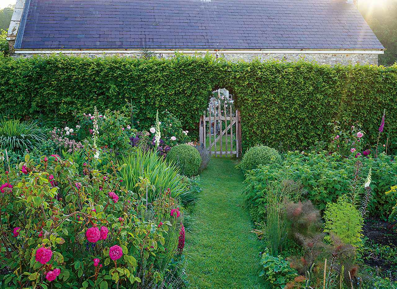 ジャスパー・コンランの 癒やしの庭 (1/1) - T JAPAN:The New York Times Style Magazine 公式サイト