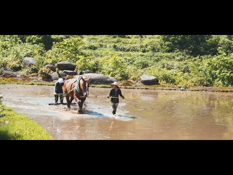 画像: 田人馬 © 三馬力社 youtu.be