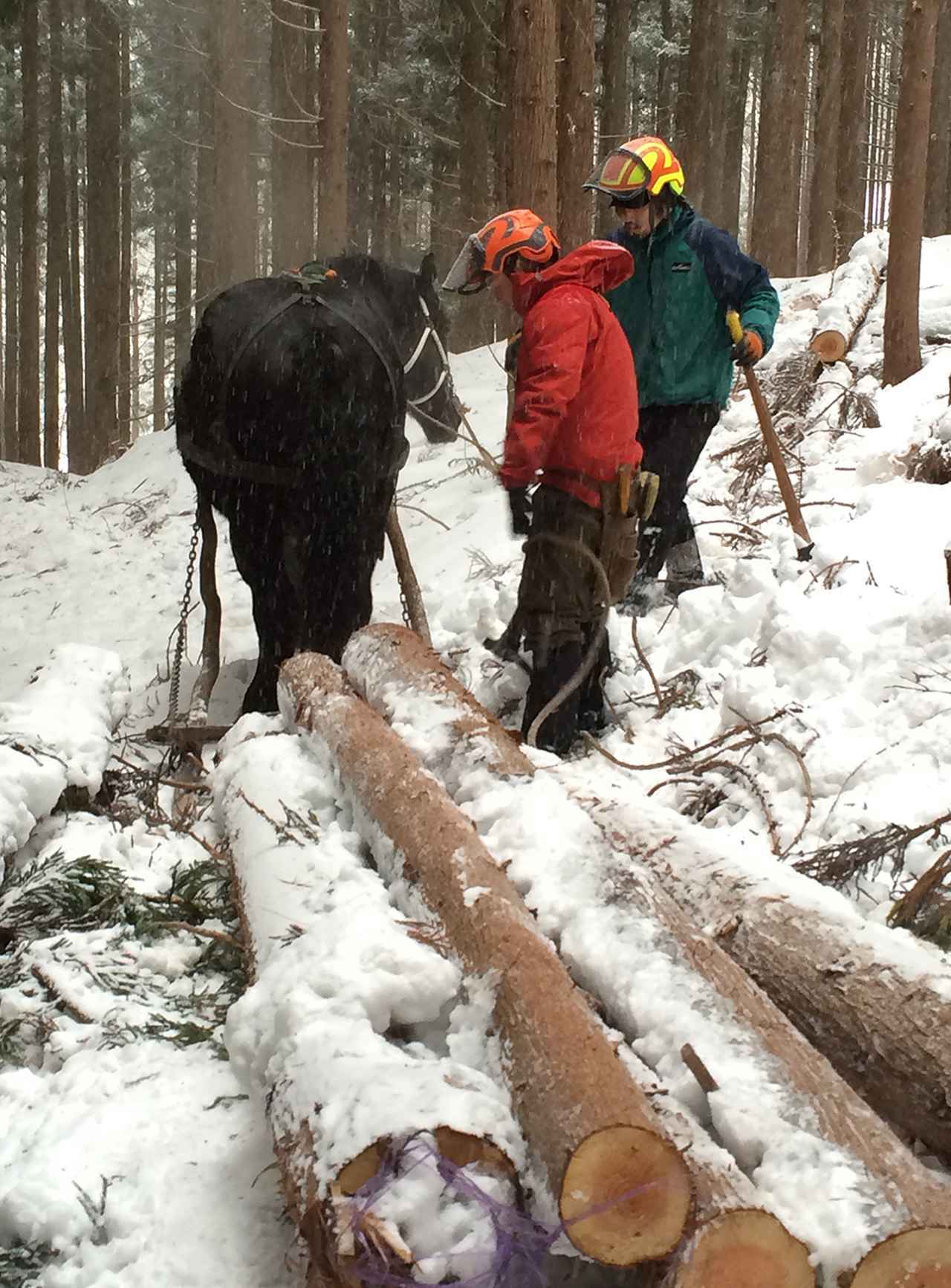 日本初 馬耕による ジャパニーズ・テロワールが育む、 日本酒「田人馬