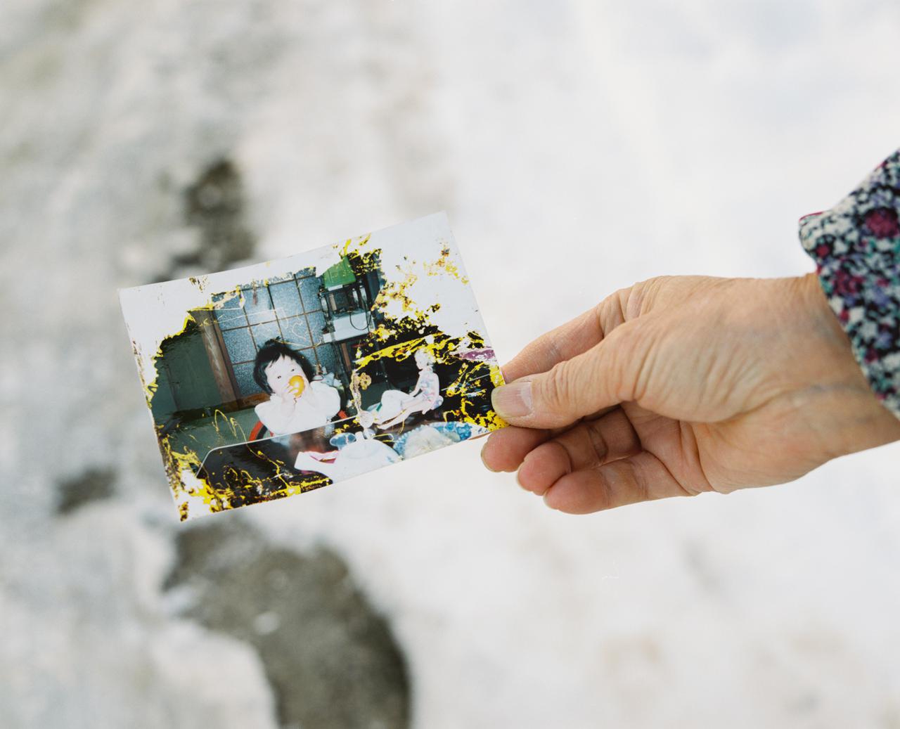 ダミアン・ハーストの桜、感覚で 楽しむ現代美術、浅田政志の写真展