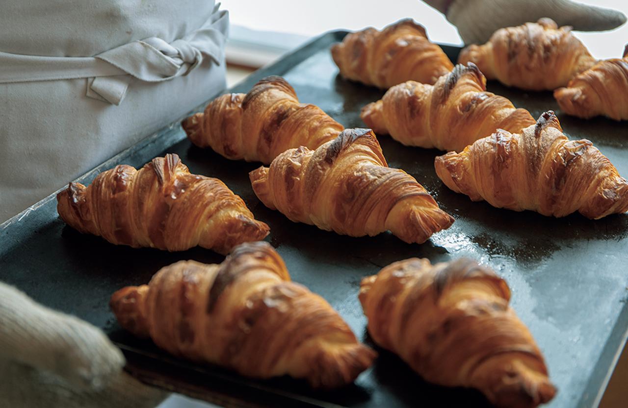 さあ、できたてを召し上がれーー。 北の大地の料理人、中道博の仕事