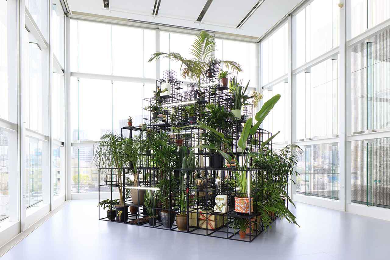 Rashid Johnson ラシッド・ジョンソン 国内ま未入荷 レアポスター Rashid Johnson ラシッド・ジョンソン 国内ま未入荷 レア