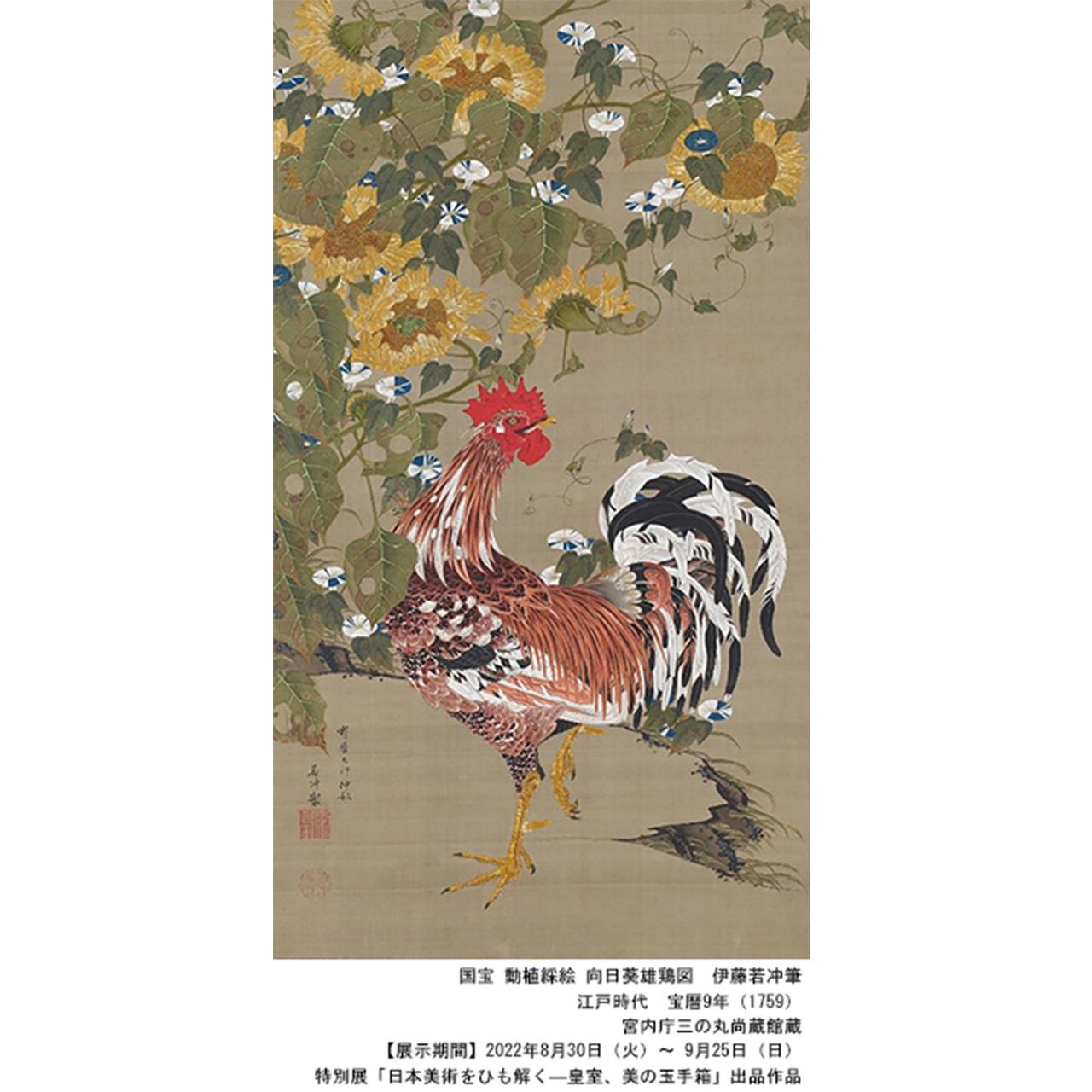 杉本博司の「オペラ劇場」、 奈良美智展の記録、若冲の国宝 今週見る