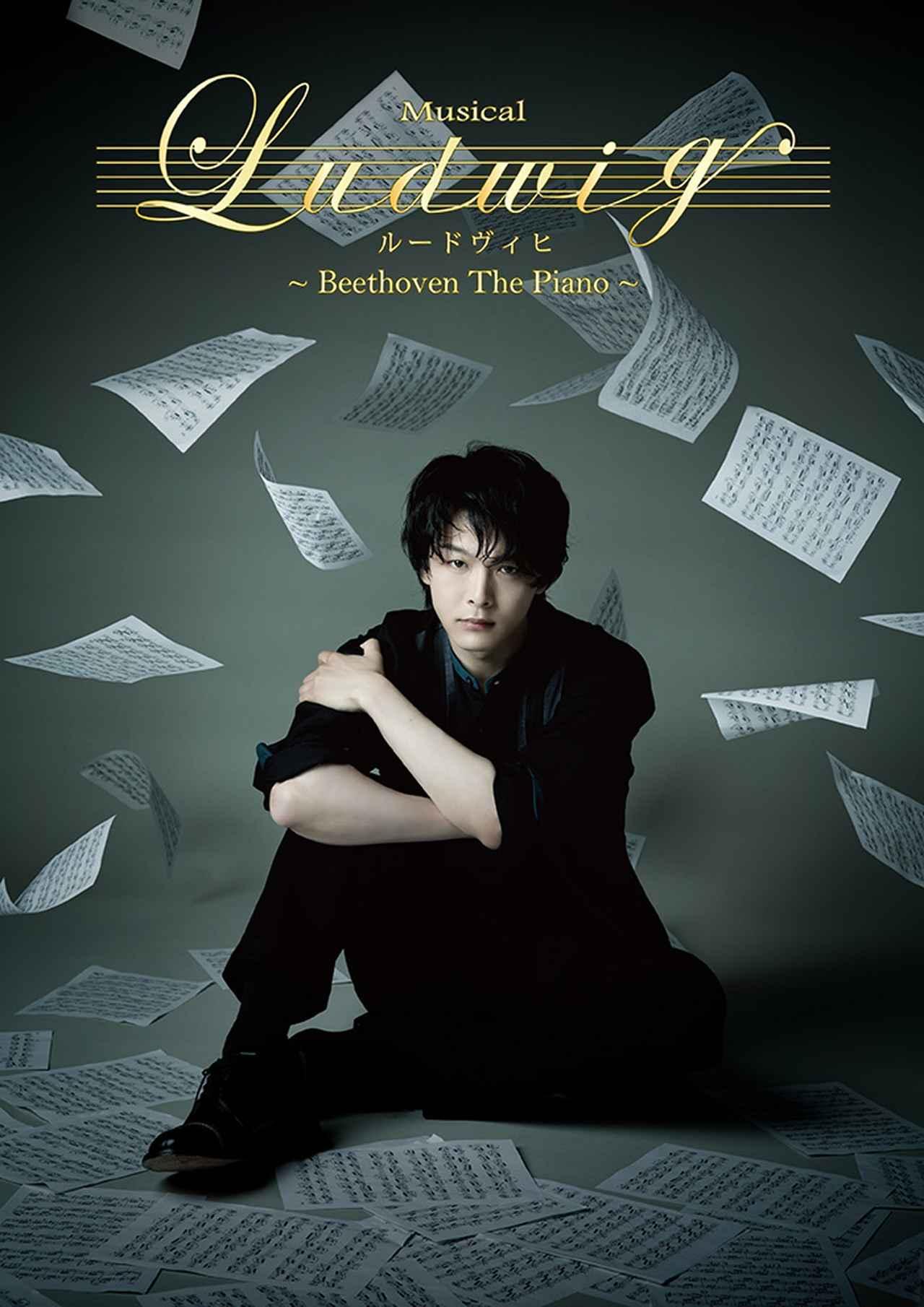 【新品】ハリ系(DVD 4枚組)中村友也(中村倫也) 中村倫也 主演DVDセット