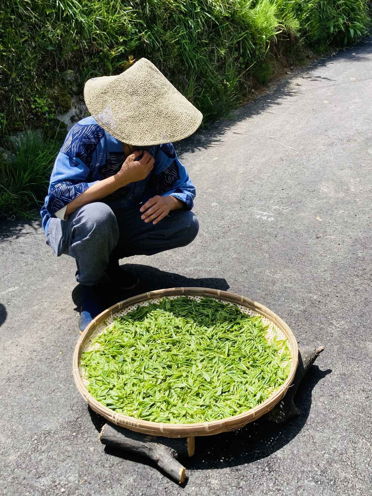 初めてづくしのお茶摘みとお茶席 【菅野麻子の奈良の通い路 和稽古こと