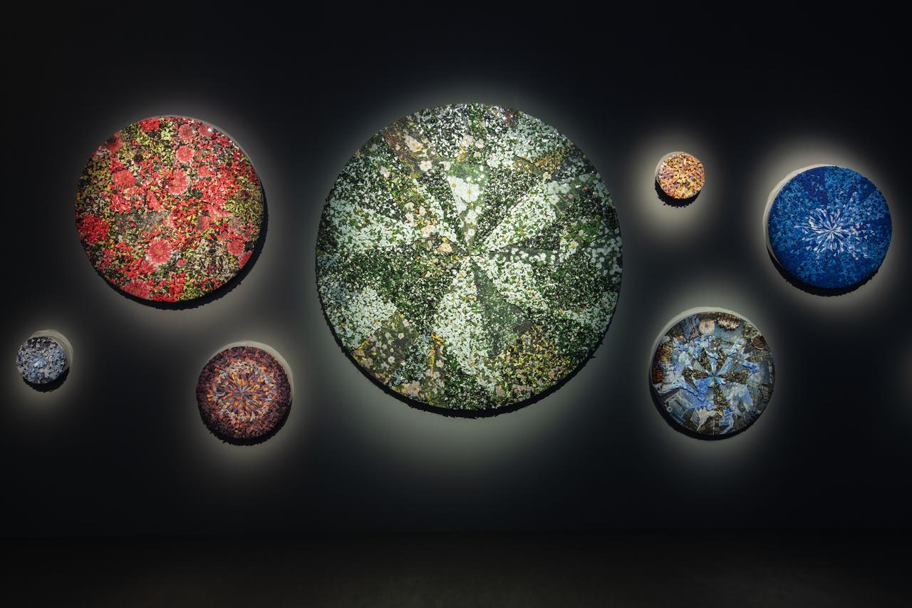 日本で初個展を開催中 キューバ人アーティスト マベル・ポブレットが海