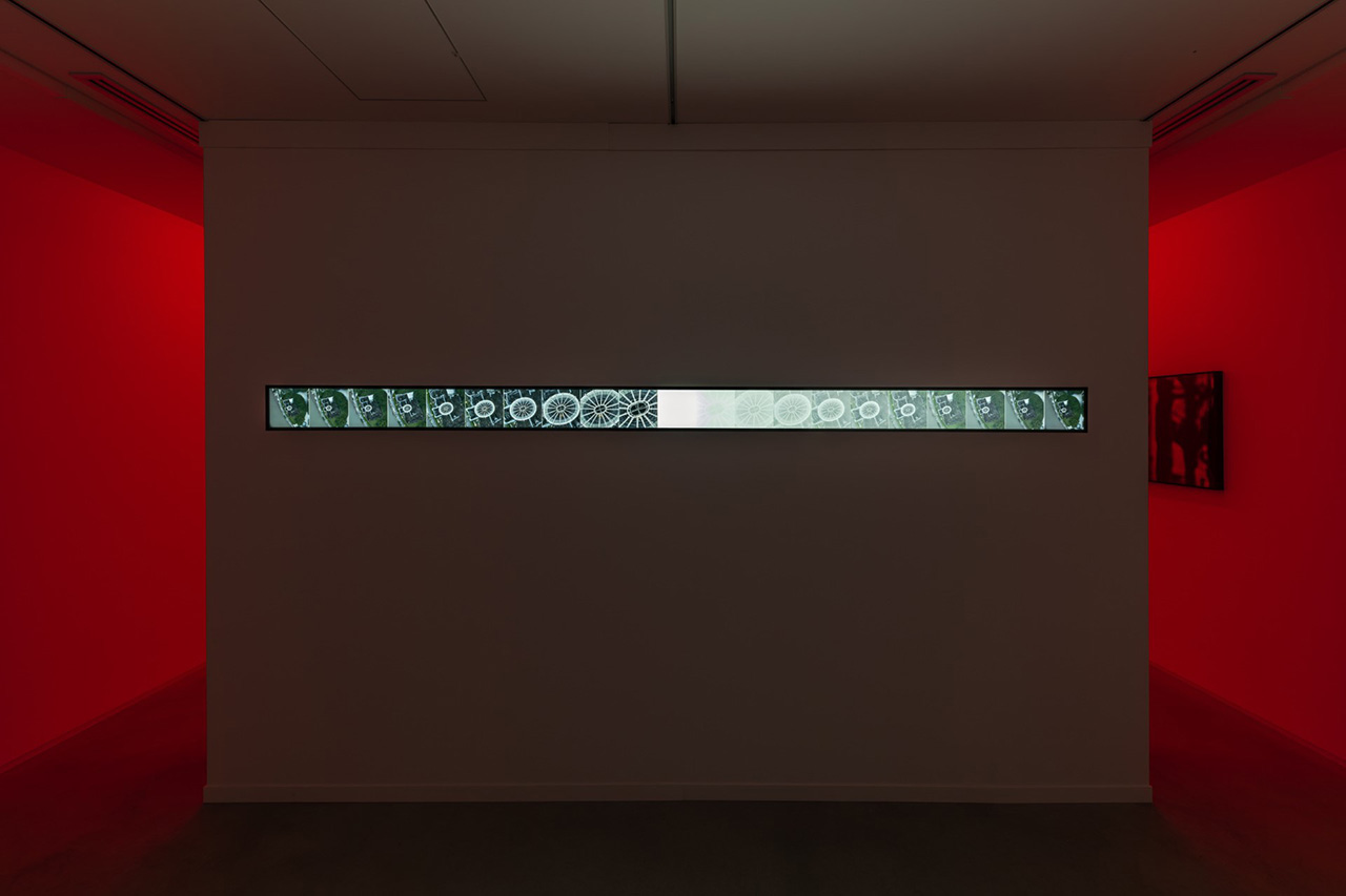 絵画　作者不明 佐藤勝彦「お前自身の無限と語れ～（不動明王）」肉筆墨彩画