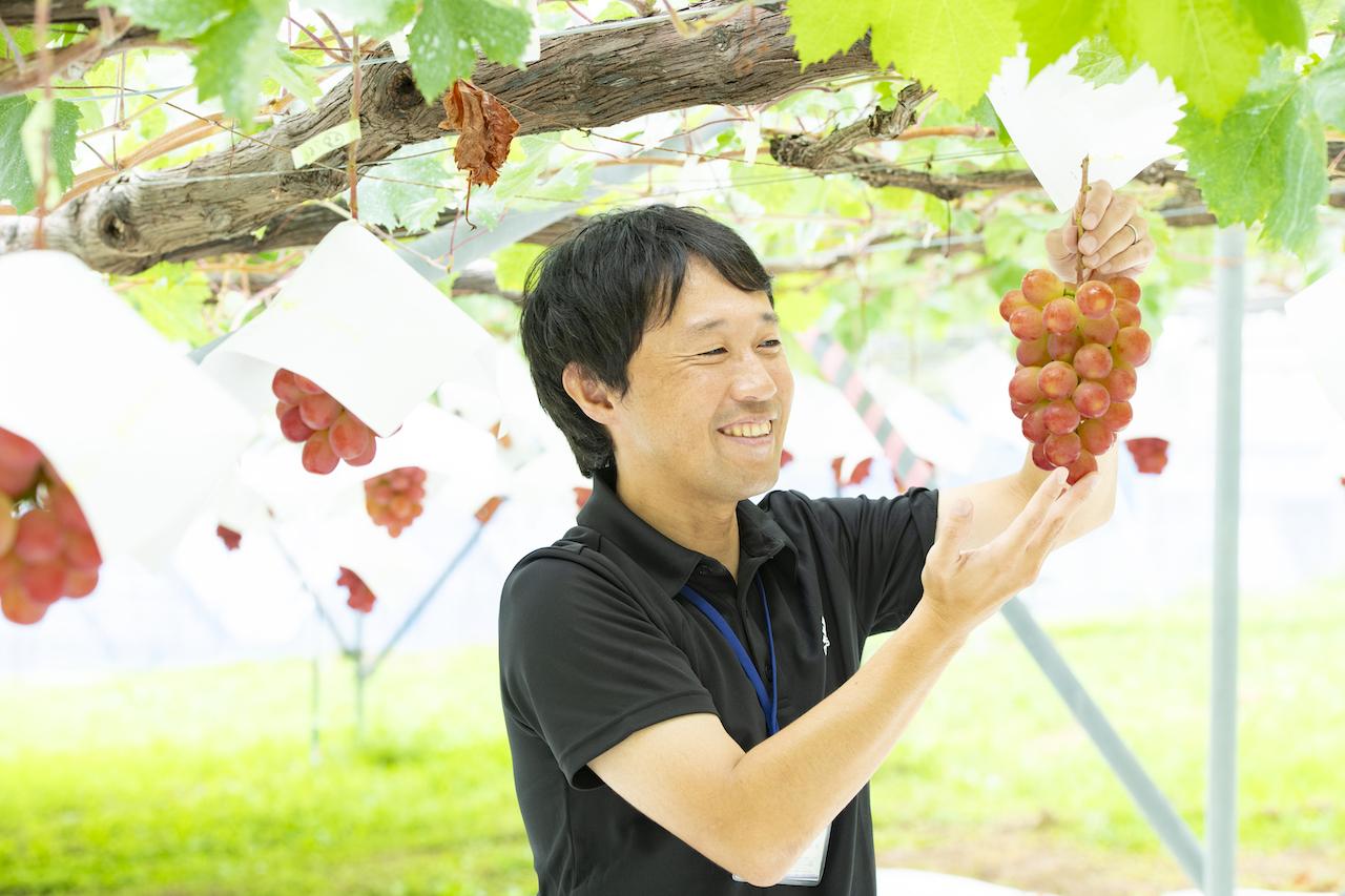 山梨・夢のぶどうへの道 赤い宝石「サンシャインレッド」 誕生物語 - T