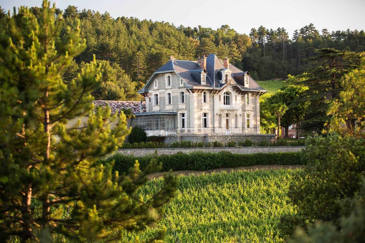 南フランスのワイン “チャーミングなレディ” 「ドメーヌ・ド