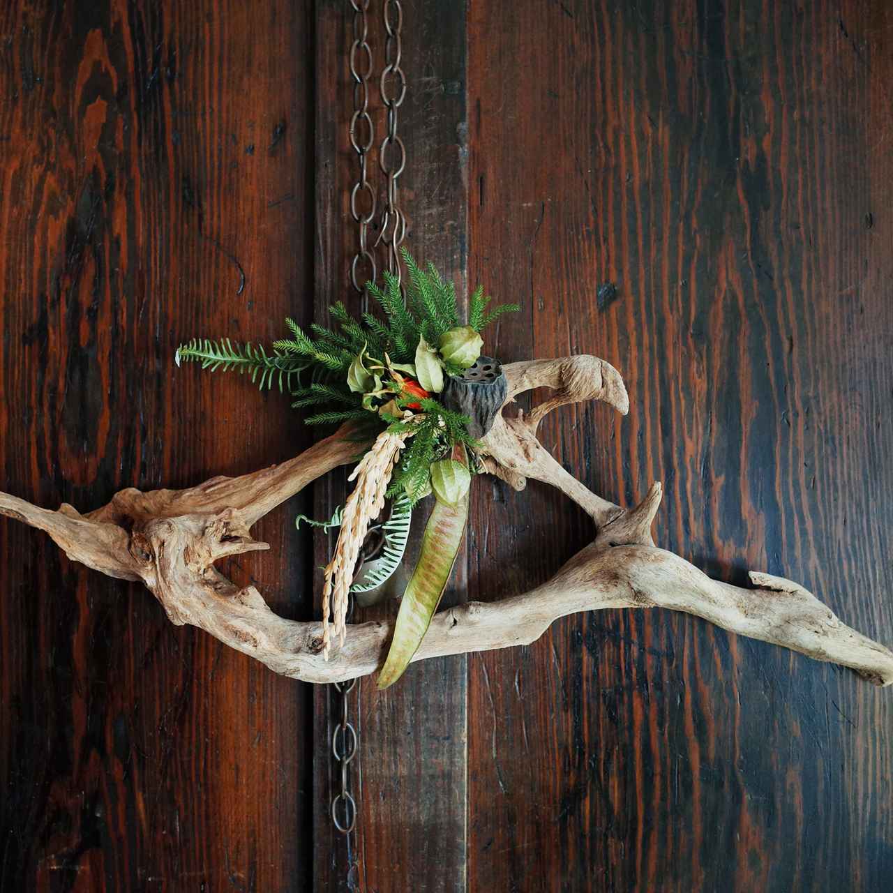 ただならぬ流木 ただならぬ流木 【公式通販】