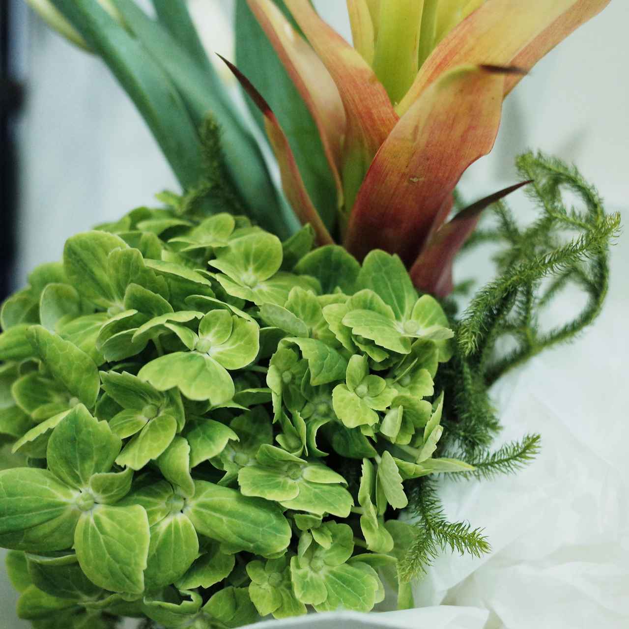 二十四節気とフローリスト Vol.6 大寒の花束 「logi plants&flowers