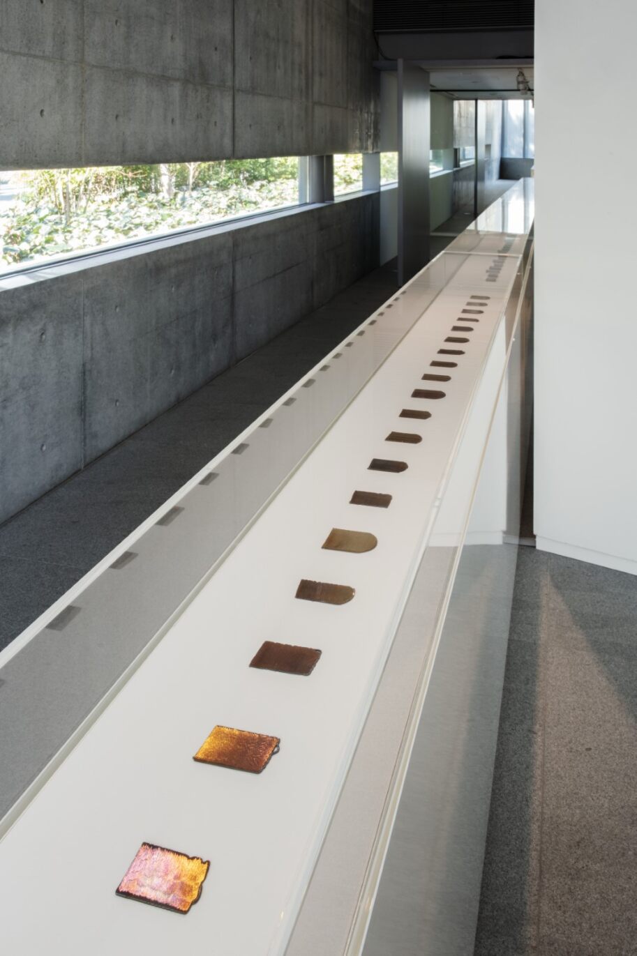 比類なき光の創り手に、いま出合う 「ダニエル・ブラッシュ展 ー モネ