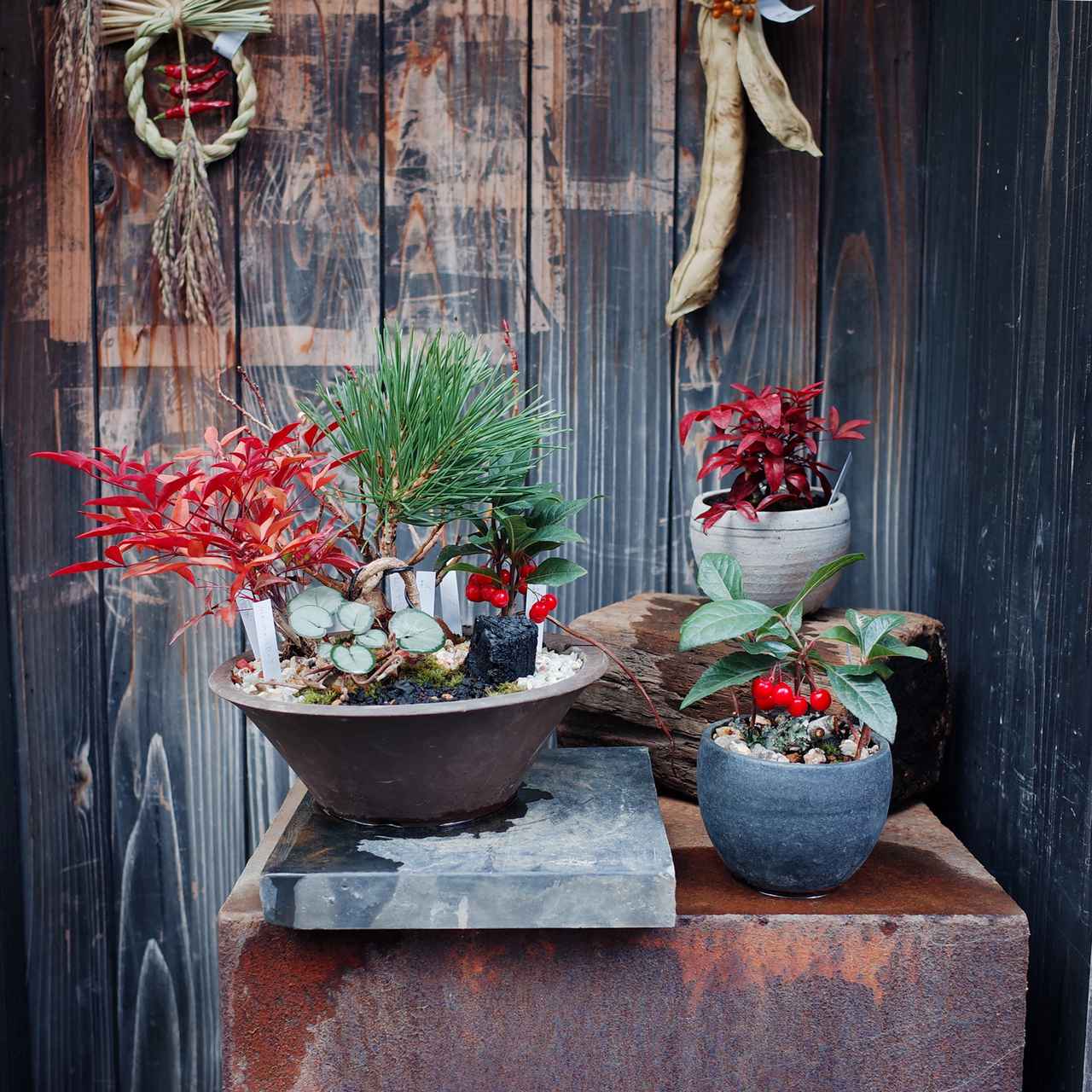 【全2巻セット・美品】 　花材百科 四季花事典①春夏＋②秋冬・周年 二十四節気の花飾り － 立秋 処暑 －