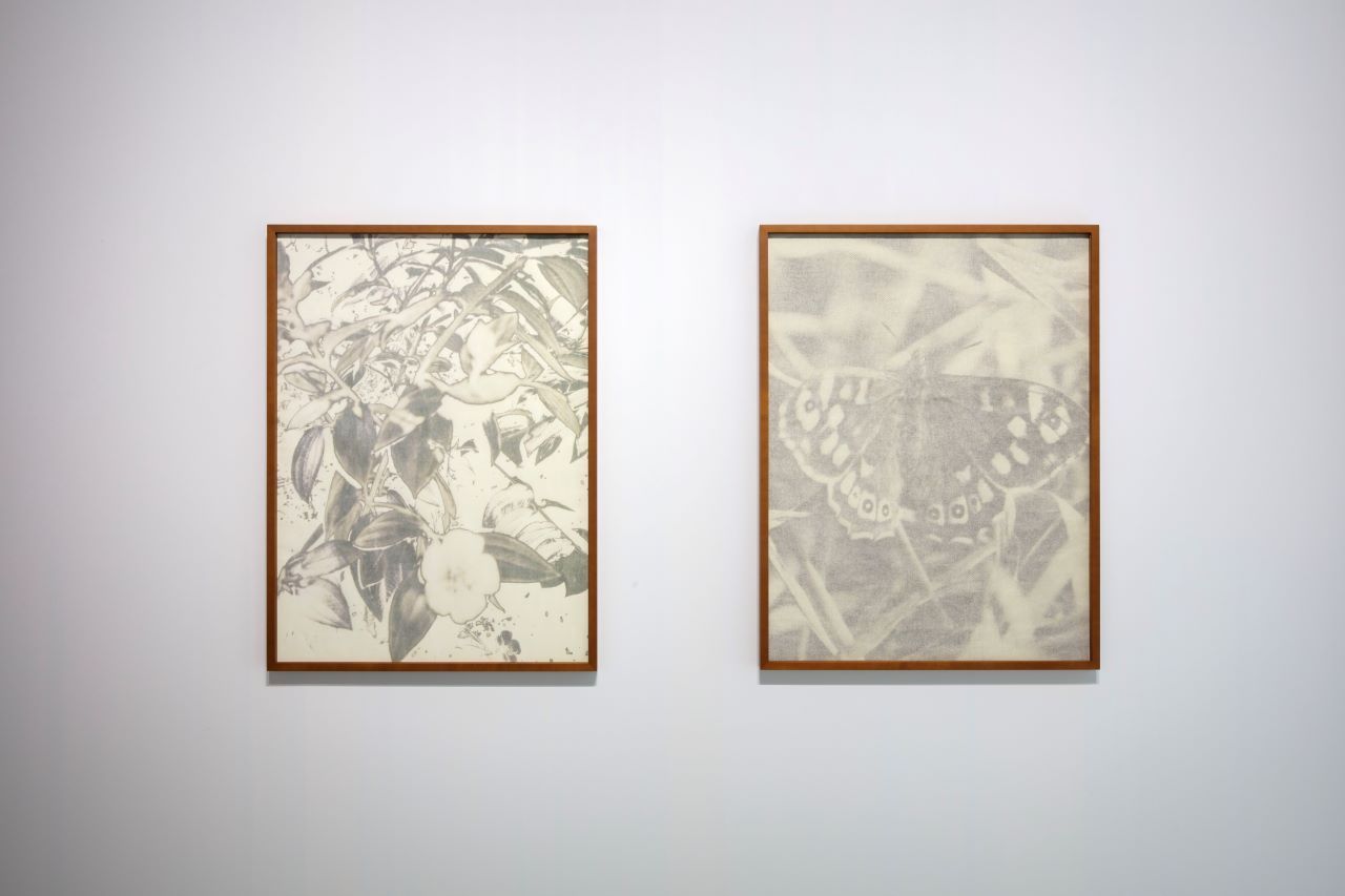 【SS】Shane Bowden CHANEL アート セール中】シェーンボーデン Shane Bowden シャネル 絵画 シェーン