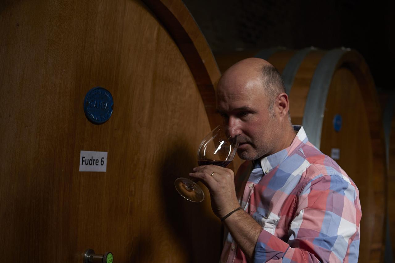 定価11万 現行◎ブリッラ FERLA アルパカ ストライプジャケット 濃紺46 自然と共に。チリワインの名門が魅せる 「タラパカ グラン レゼルバ