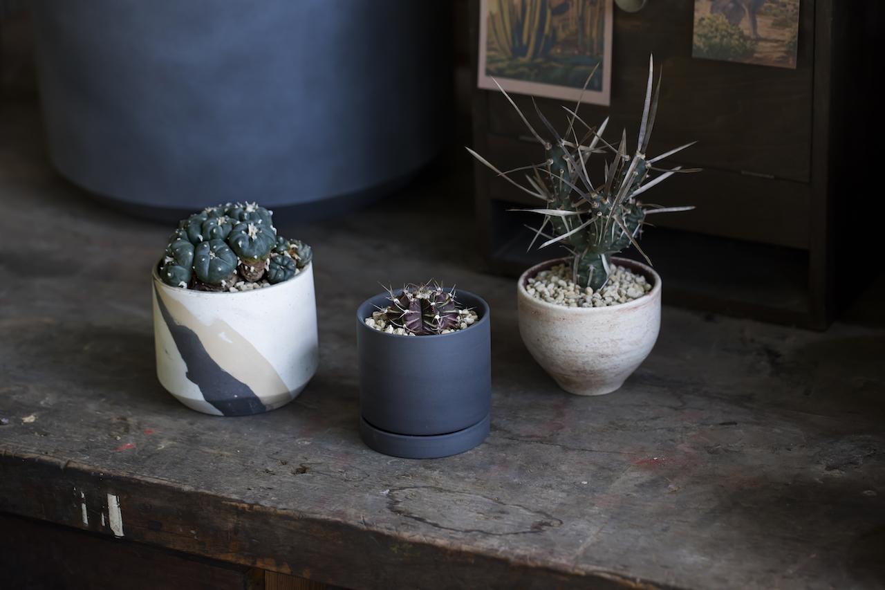 thha__ オブジェ　鉢 植木鉢 ザーpot 147436337.jpg?cmsp_timestamp=