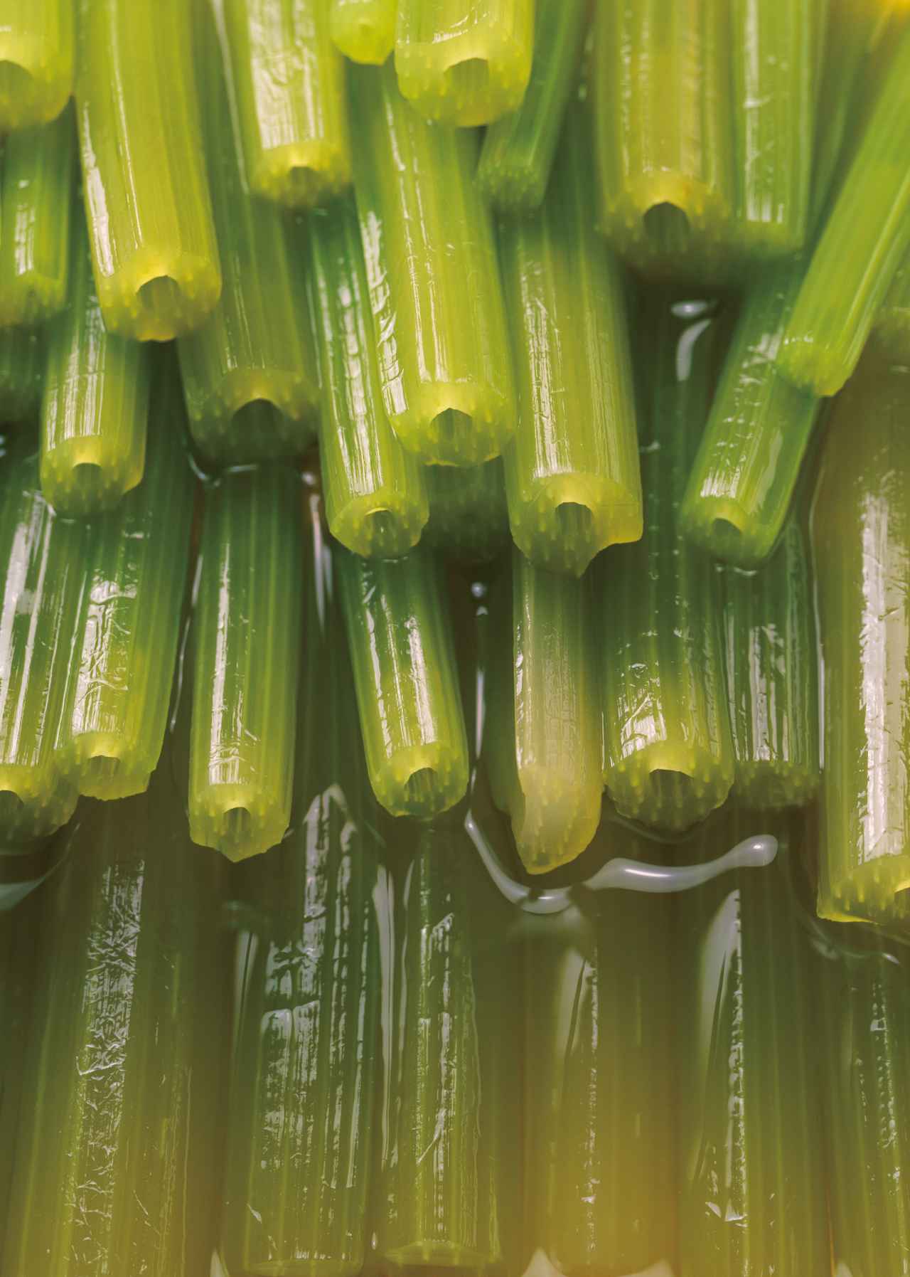 特別展示「水を味わう 水を纏う」に 名著「百味菜々」の問う力を