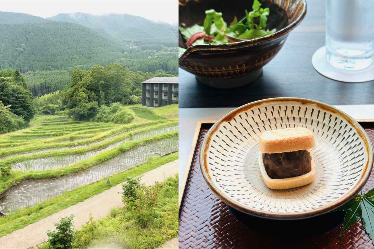 大分のジビエ、郷土料理、焼酎を 「界 由布院」で味わう 桂まりの偏愛