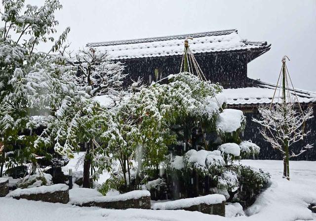 画像: 訪れたのは、今シーズン一番の雪の日