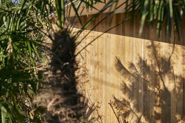 画像: 地元の植栽を取り入れた、ランドスケープデザインが、美しい影を生んで