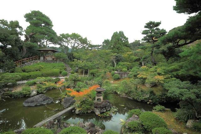 画像: 藤原家の氏寺があったとされる「吉城園(よしきえん)」。万葉集にも詠まれた長い歴史を有する場所。現在は一般にも開放している。奈良県指定有形文化財
