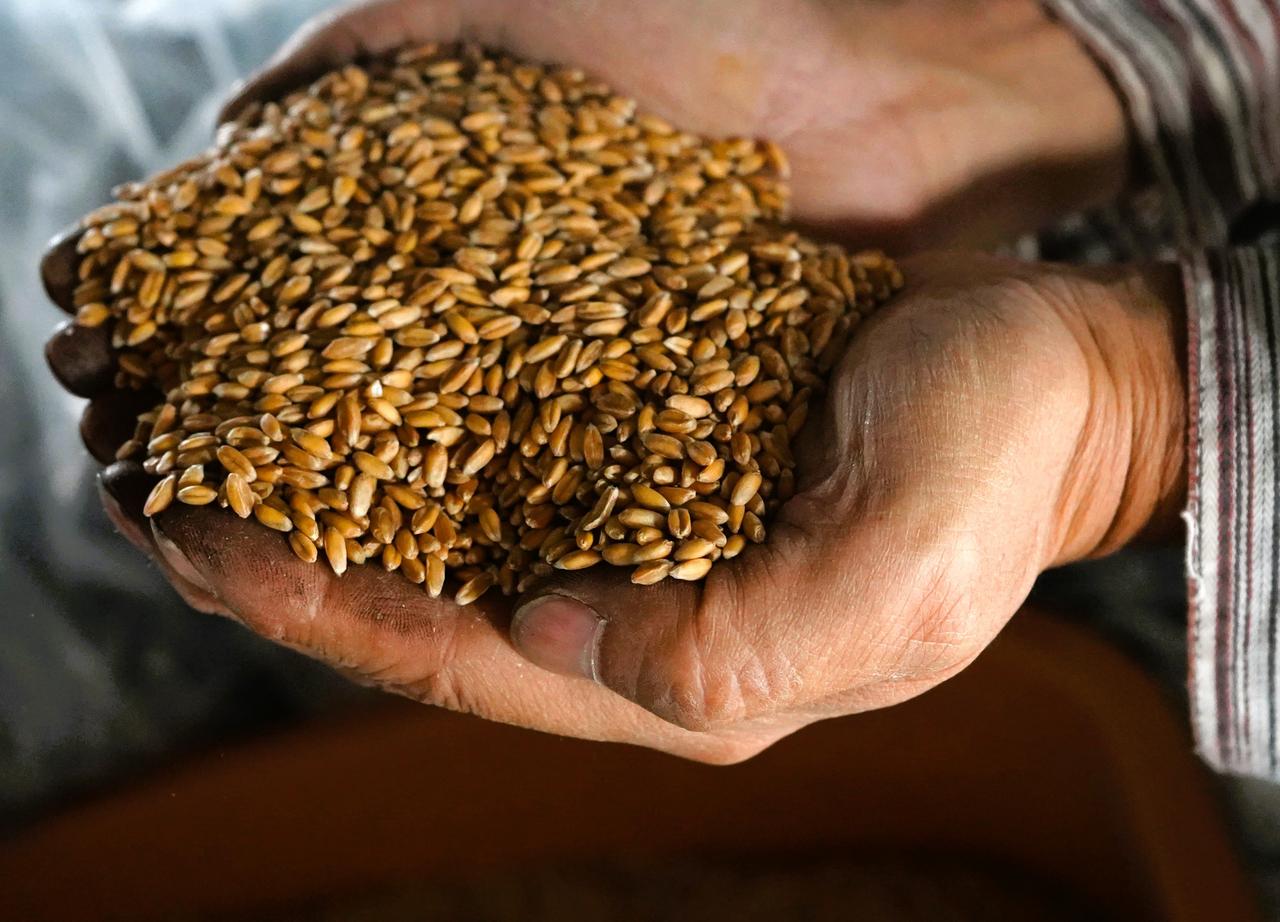 中川農場」祈りの小麦作り。 ヤミー高山の「北の国から」Vol.7 ～食の