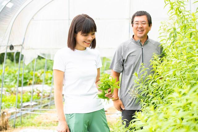 画像: レストランで使うバーベナを摘みに、農園を訪れる長江さん。「香りがとてもいいし、とにかくハーブが生き生きしています。依田さんのバーベナがあるからこそ、あのデザートを作ることができます」と長江さん。右は温厚な笑顔の園主・依田義雄さん。軽井沢「ハルレニテラス」にて、採れたて野菜と加工品のセレクトショップ「karuizawa vegetable ココペリ」も営む