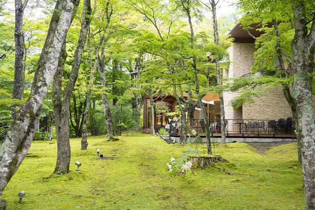 画像: みずみずしい苔と風にそよぐ樹々の緑が眩しい森の中の一軒家レストラン「クレソンリバーサイドストーリー旧軽井沢」。庭の奥には小川が流れ、かつてクレソンが自生していたことから店の名前に。テラス席で楽しむお客様が多い