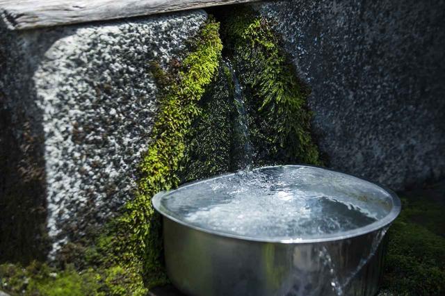 画像: 酒蔵の向かいにある城山(しろやま)から引き込んだ湧水は、酒の仕込みに使われている