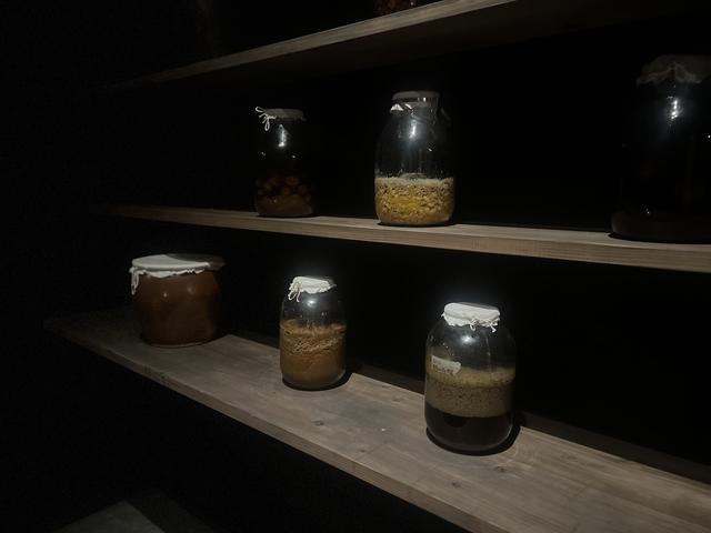画像: 店内にある発酵棚