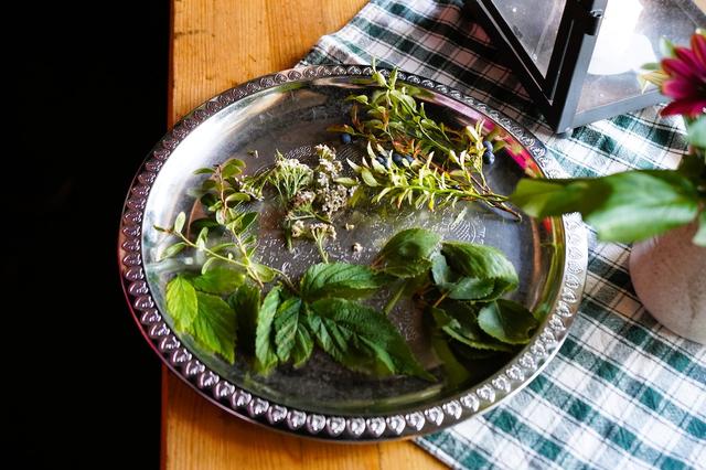 画像: この日提供されたハーブティーに使用している植物も森から収穫したもの。ポリフェノールを多く含むリンゴンベリーやブルーベリーの原種ビルベリーなどベリー類の葉、ミルフォイユ(西洋ノコギリソウ)など