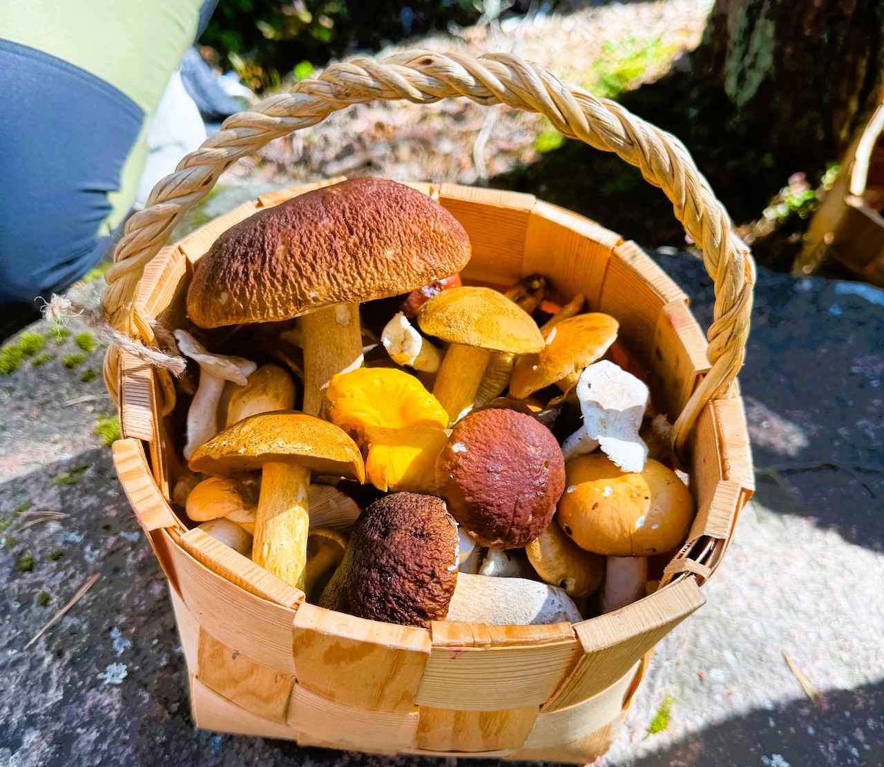 画像 : 11番目の画像 - 「フィンランドの森できのこ狩り!
ヤミー高山の「北の国から」Vol.10
~食の開拓者たちへの讃歌~」のアルバム - T JAPAN:The New York Times Style Magazine 公式サイト