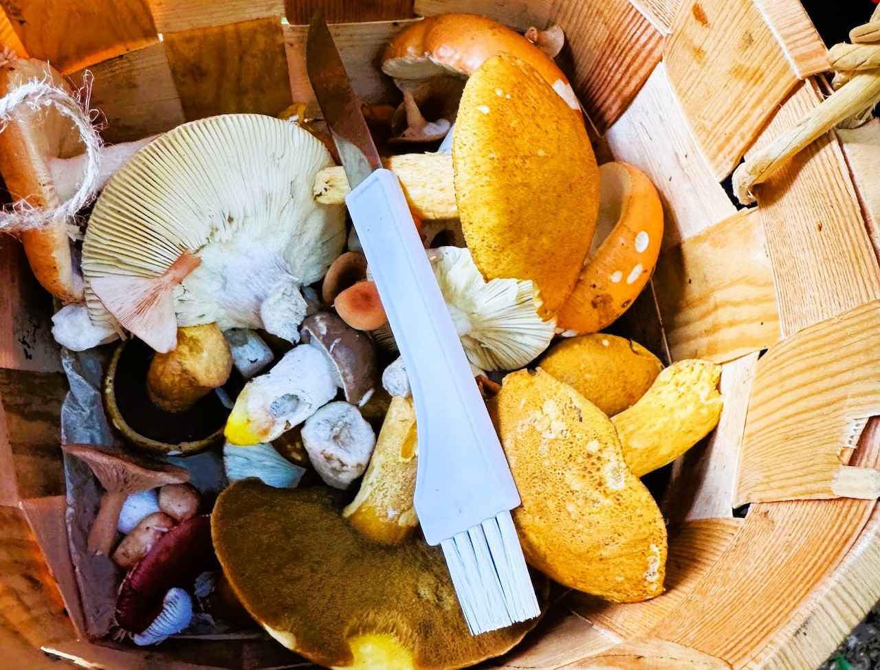 画像 : 7番目の画像 - 「フィンランドの森できのこ狩り!
ヤミー高山の「北の国から」Vol.10
~食の開拓者たちへの讃歌~」のアルバム - T JAPAN:The New York Times Style Magazine 公式サイト