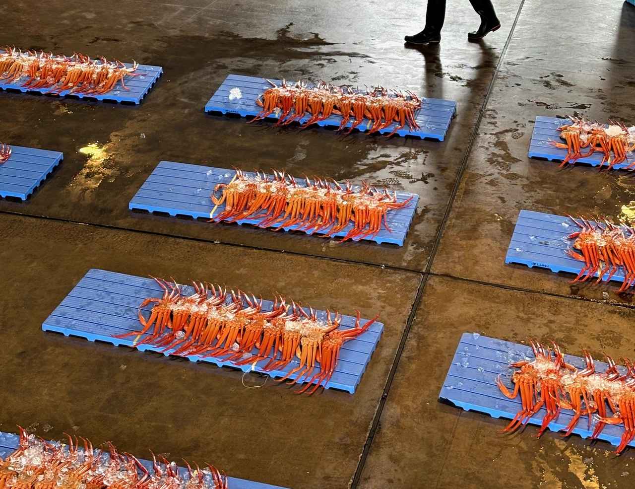 画像 : 15番目の画像 - 「カニや寿司、
富山湾の恵みを味わい尽くす
桂まりの偏愛！食いしん坊部vol.47」のアルバム - T JAPAN:The New York Times Style Magazine 公式サイト