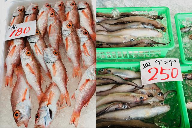 画像: 新湊魚港の昼セリを見学するまえに、孫七・川田水産直売店にも寄る。宝石のような新鮮な魚が並ぶ
