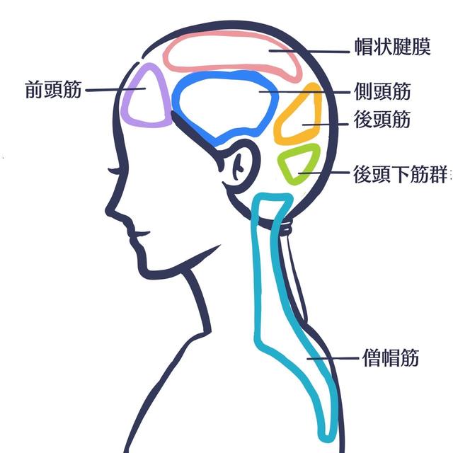 画像: ILLUSTRATION BY NKT