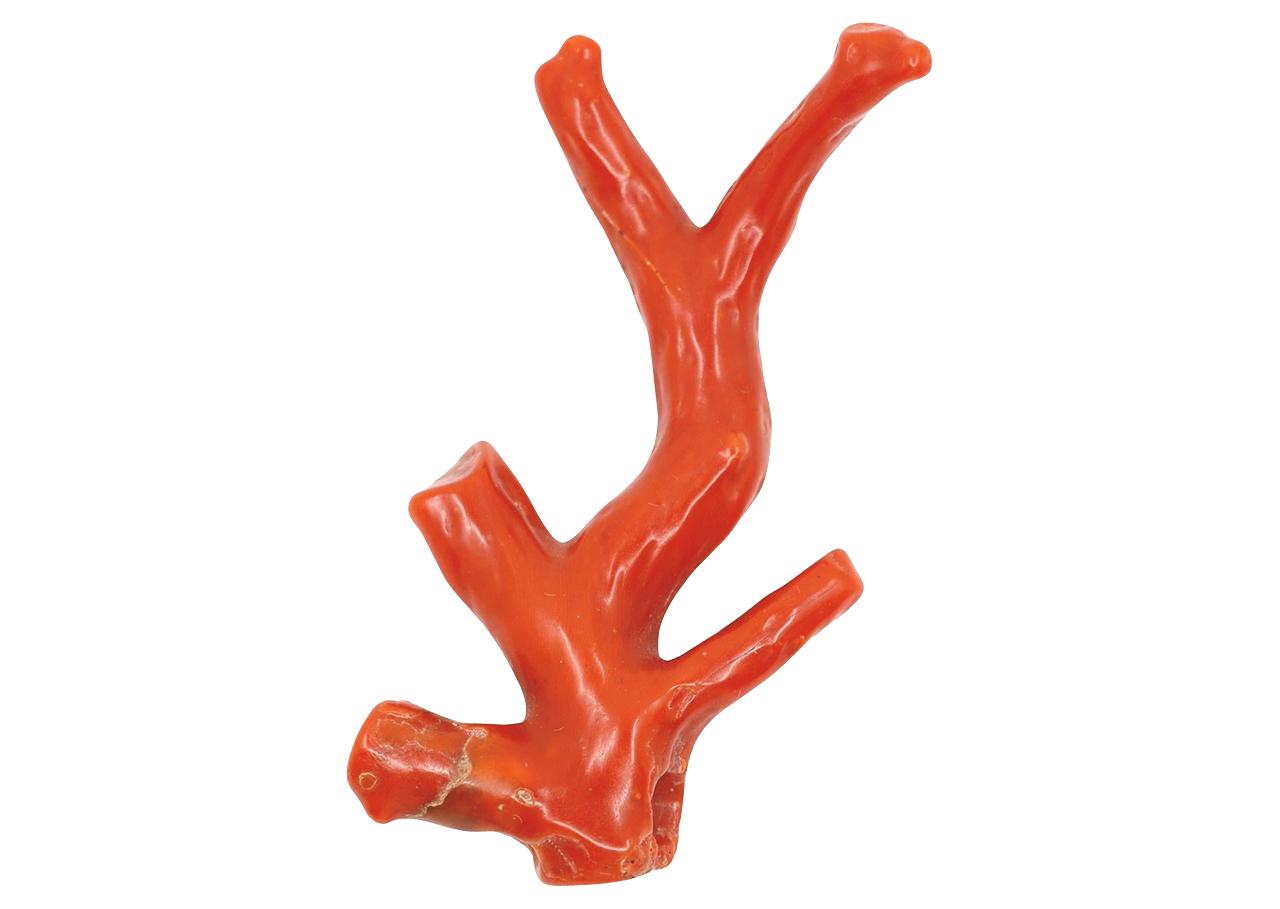 画像 : 12番目の画像 - 「バレンシアガを率いるデザイナー、
ピッチョーリの愛するもの、こと②」のアルバム - T JAPAN:The New York Times Style Magazine 公式サイト