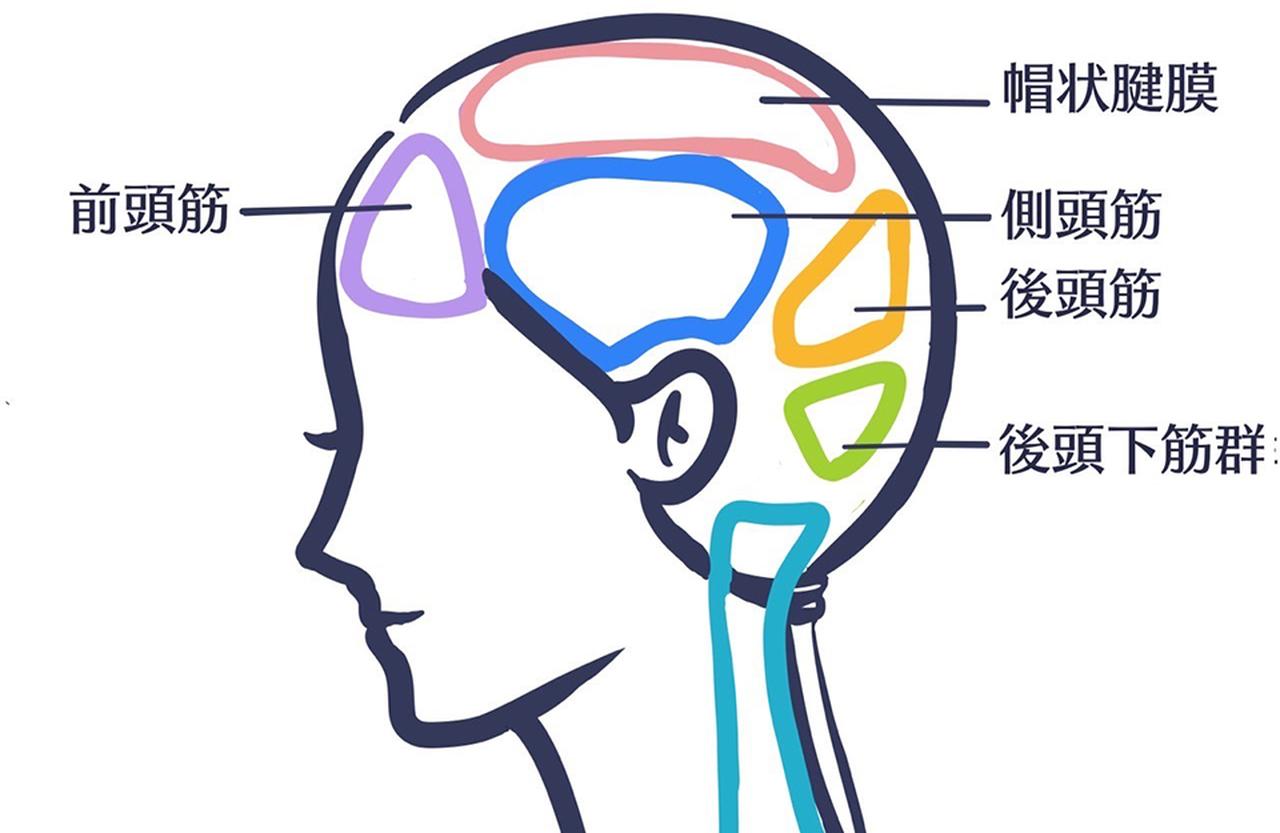 画像: 伊熊奈美の美髪レッスン vol.1大人の髪を更新する ブラッシングケア - T JAPAN:The New York Times Style Magazine 公式サイト