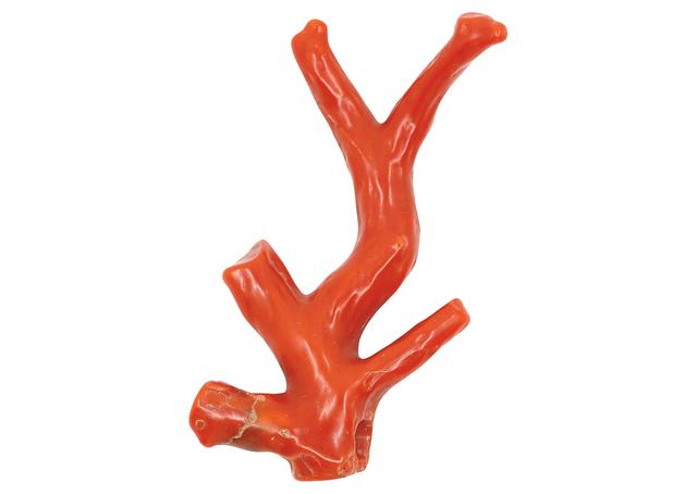 画像: 「ルネサンス絵画には珊瑚が多く登場し、イエス・キリストもよく身につけている。珊瑚は"守護"の象徴で、割れたときは悪いエネルギーから守ってくれているという言い伝えも。迷信深いわけじゃないが、そういう考えにどこか惹かれる。僕が普段つけているのは18世紀シチリア産のピンクがかった赤い珊瑚の天使のペンダントと、1970年代の赤い珊瑚のネックレス」 COURTESY OF 1STDIBS