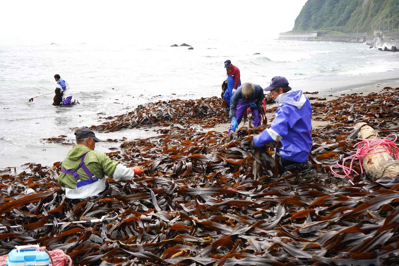 画像 : 1番目の画像 - 「昆布漁師「ほし乃家」の取り組みとは?
ヤミー高山の「北の国から」Vol.11
~食の開拓者たちへの讃歌~」のアルバム - T JAPAN:The New York Times Style Magazine 公式サイト