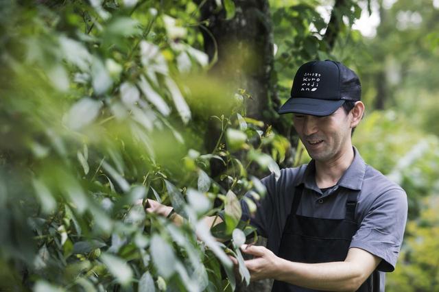 画像: 黒文字に魅せられたという店主の山崎 哲氏