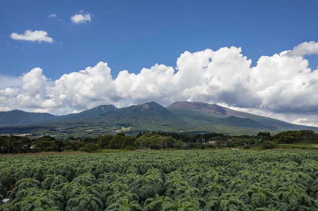 画像: 窓からの眺めはご覧のとおり、キャベツ畑と浅間山のコントラストが圧巻である